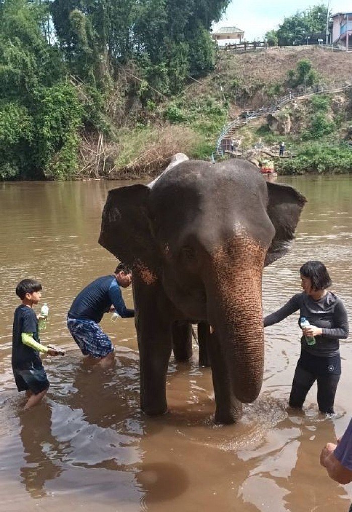 Charter a car to Erawan Waterfall.